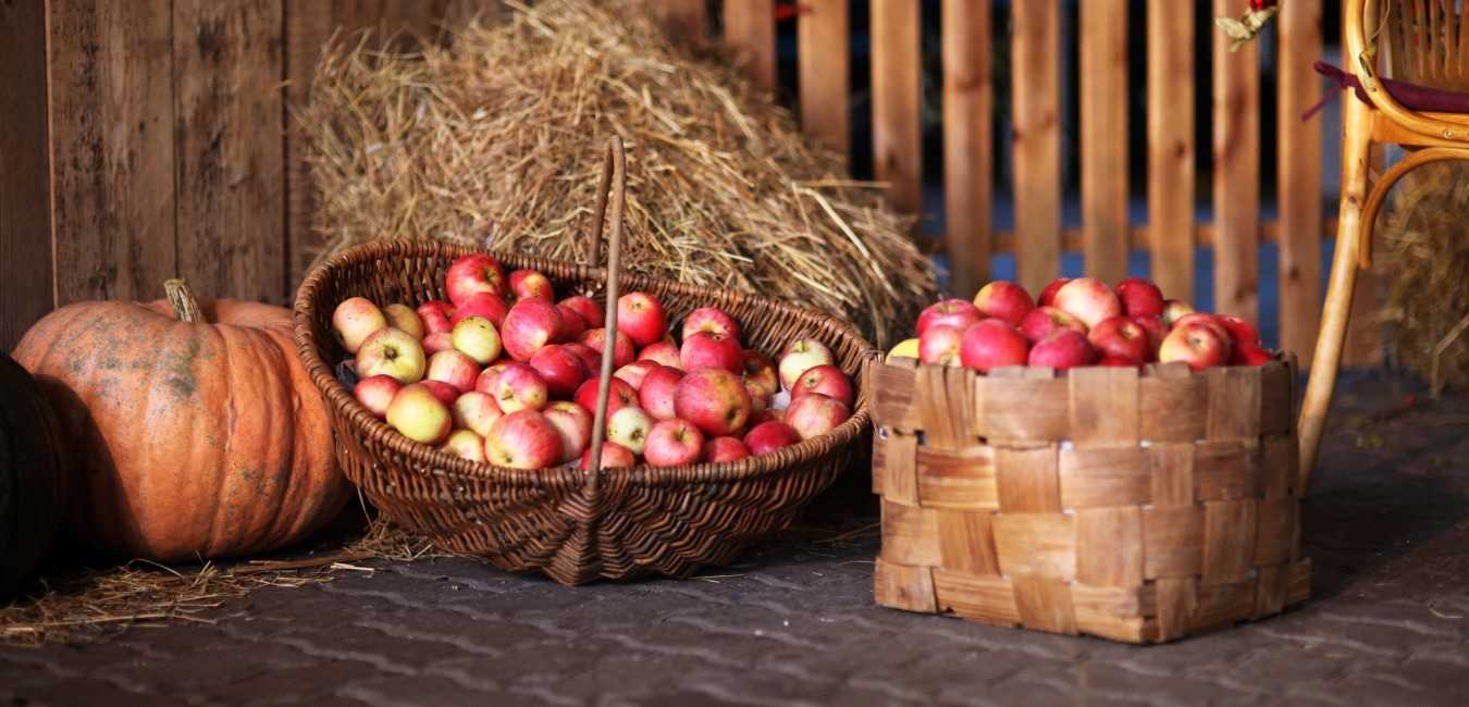 Herbstmarkt statt Kappesmarkt